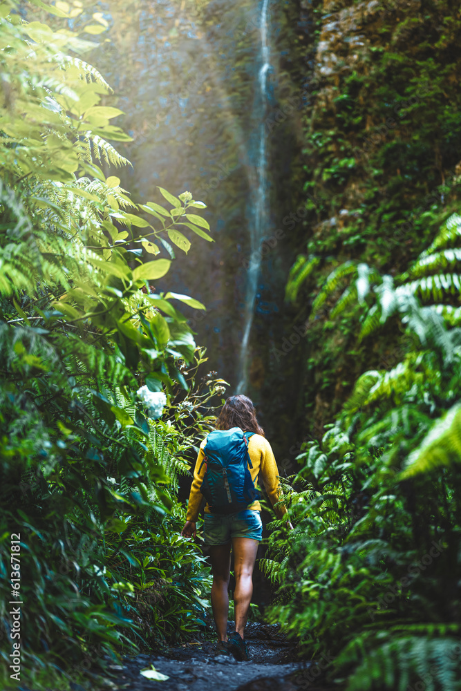 Fototapeta premium Backpacker woman walking along fern overgrown hiking trail torwards picturesque, overgrown waterfall in the Madeiran rainforest. Levada of Caldeirão Verde, Madeira Island, Portugal, Europe.