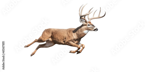 a Whitetail deer Buck, running and jumping, elusive animal, Wildlife-themed, photorealistic illustrations in a PNG, cutout, and isolated. Generative AI © Purple Penguin GFX