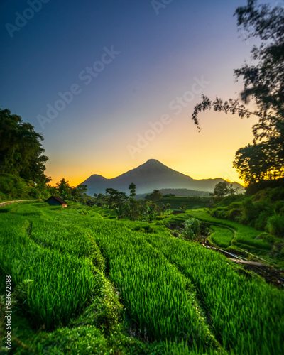 Beautiful sunrise in the fields