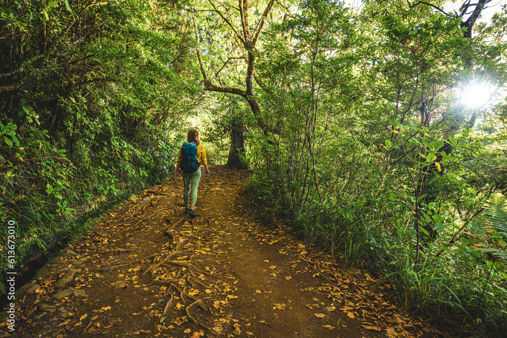 Tourist woman walking along jungle footpath next to water channel through light filled Madeiran rainforest during golden hour. Levada of Caldeirão Verde, Madeira Island, Portugal, Europe.