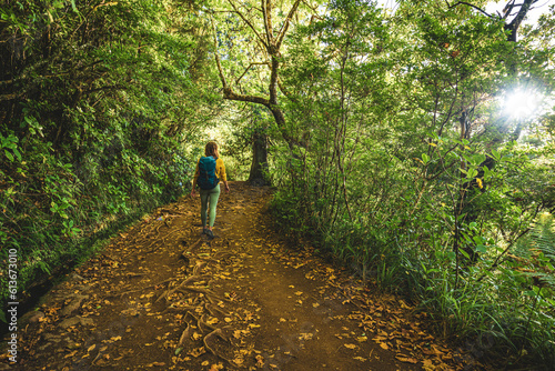 Tourist woman walking along jungle footpath next to water channel through light filled Madeiran rainforest during golden hour. Levada of Caldeirão Verde, Madeira Island, Portugal, Europe.