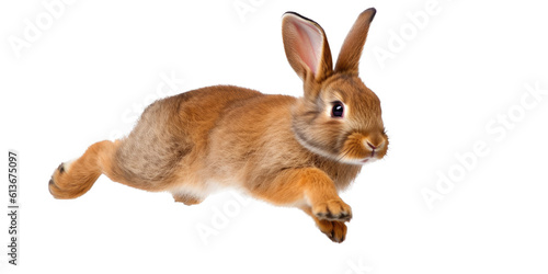 an adorable cottontail bunny rabbit in a spring-themed illustration, isolated, running, jumping, and bouncing, a spring-themed illustration on a transparent background in PNG format. Generative AI 