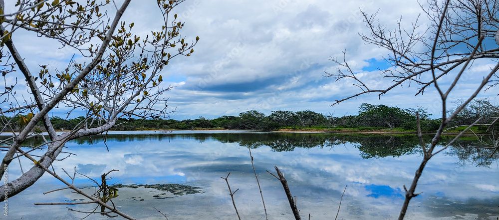 Fototapeta premium Glass