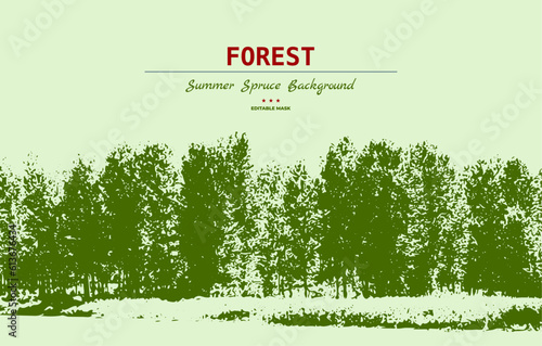 Spruce forest silhouette.Spruce tree silhouette. Pine tree silhouette
