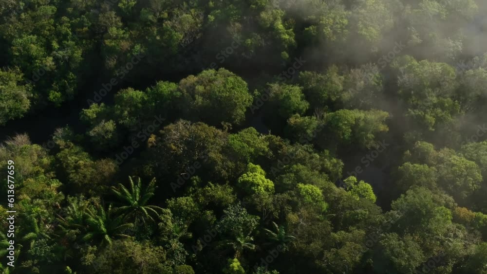 Vista aérea da floresta amazônica, Manaus, Brasil Vista aérea da floresta amazônica, Manaus, Brasil
