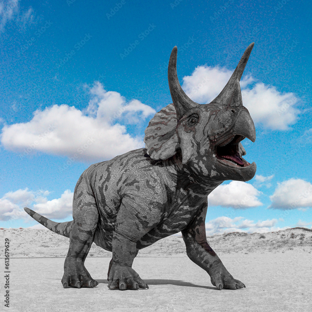 Fototapeta premium triceratops is calling the others