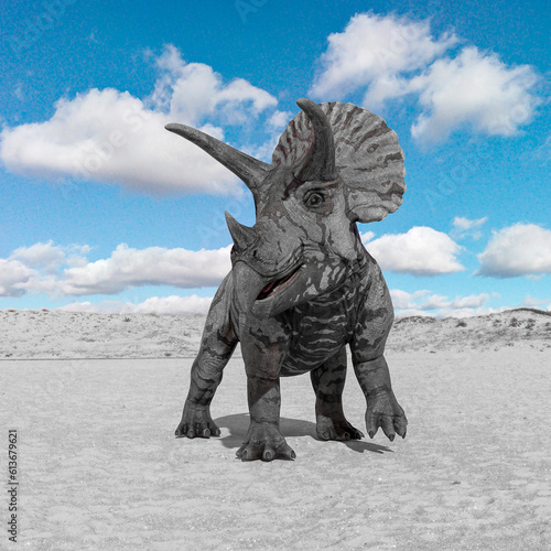 triceratops front view