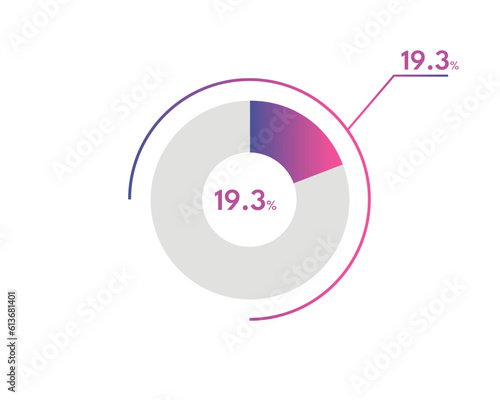 19.3 Percentage circle diagrams Infographics vector, circle diagram business illustration, Designing the 19.3% Segment in the Pie Chart.