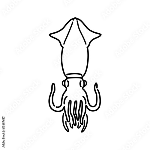 イカのイラスト（線画）