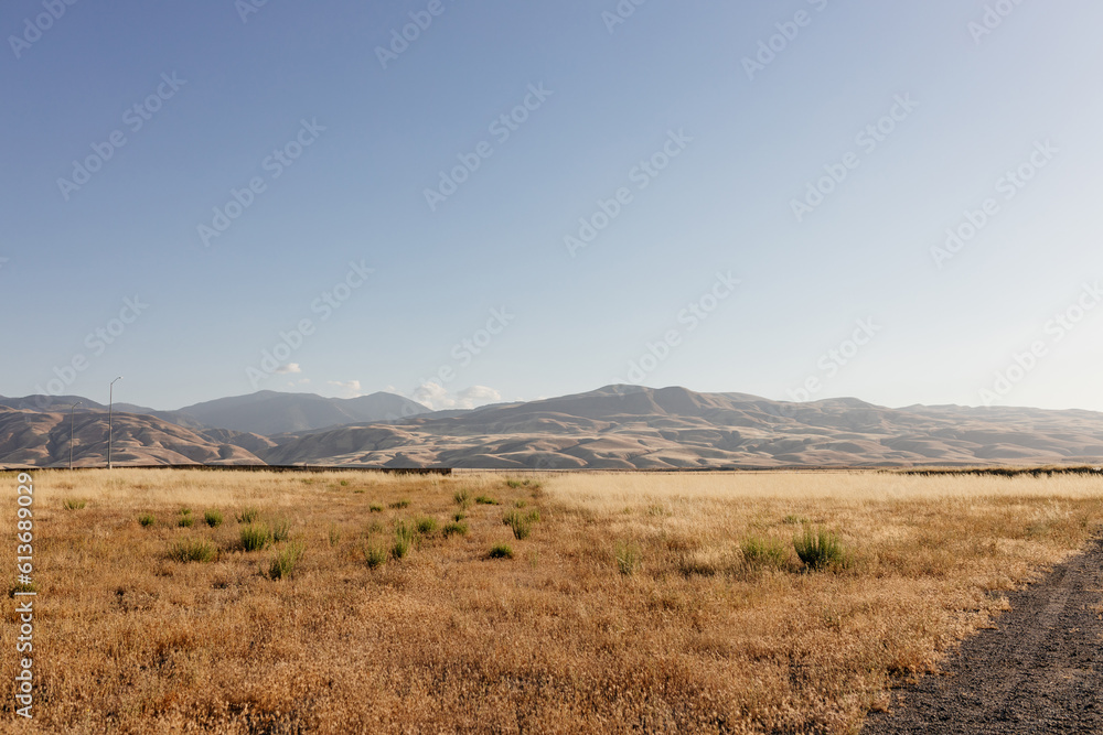 Fototapeta premium Sunny summer landscape in California. Scenic landscape with mountains, yellow grass in the foreground, clear sky on a sunny day.