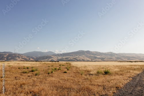 Sunny summer landscape in California. Scenic landscape with mountains, yellow grass in the foreground, clear sky on a sunny day. © Liudmila