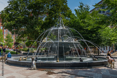 Canvas Print Dog Fountain in Downtown Toronto Canada