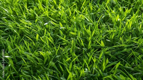 Lush green grass. Summer. Generative AI