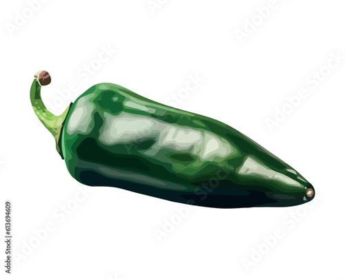 Fresh chili pepper vegetables, ripe and full of flavor