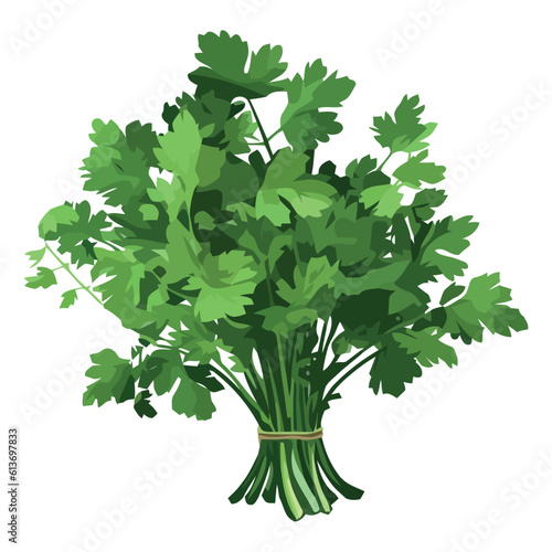 Fresh parsley vegetable bundle, vegetarian salad