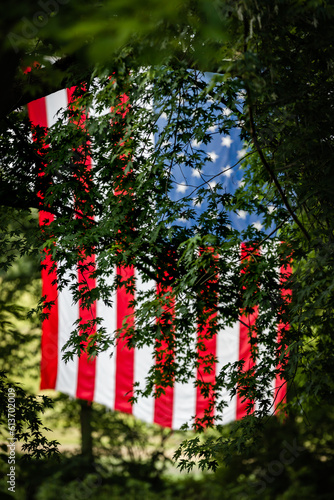 American Flag through Oak Tree