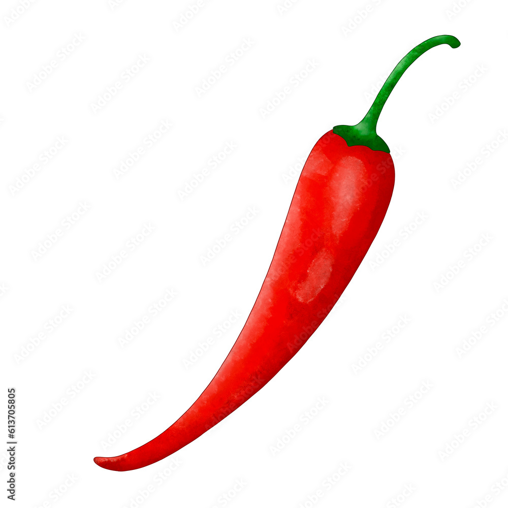 Red chili watercolor hand drawn Red chili watercolor hand drawn