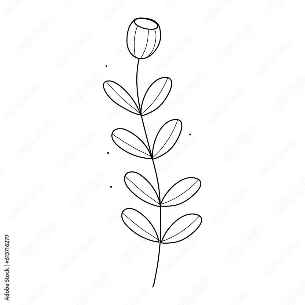 Abstract Simple Black White Flowers. Elements of decoration and design. Abstract Simple Black White Flowers. Elements of decoration and design.