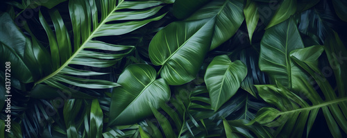 closeup tropical green leaf background. Flat lay, fresh wallpaper banner concept photo