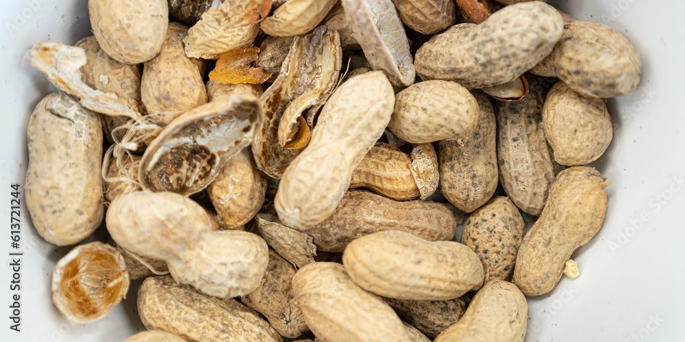 Groundnuts peanuts in shell ready to eat Groundnuts peanuts in shell ready to eat