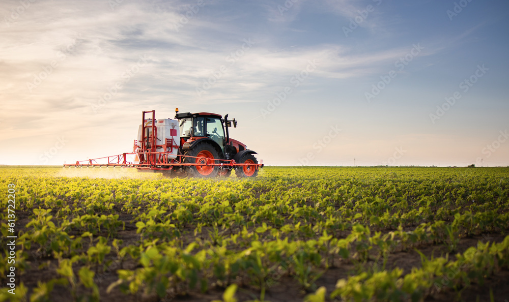 Tractor spraying soybean crops field