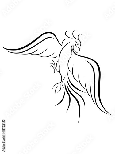 Bird_15_06_23Black graceful Firebird contour isolated over white, hand drawing vector illustration