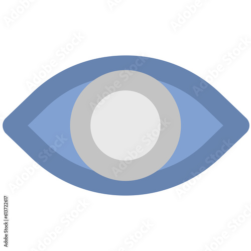 Get this amazing flat icon of eye 