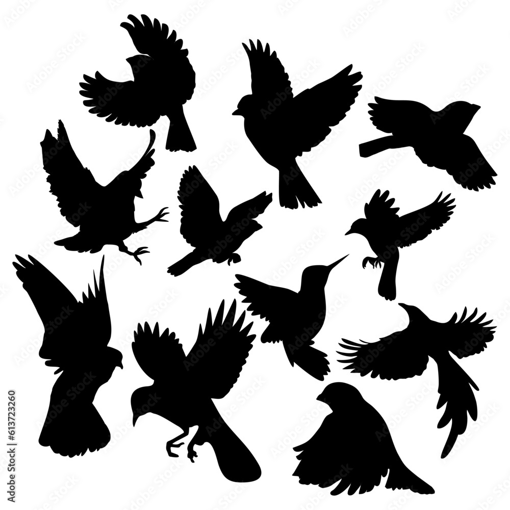 Obraz premium silhouette bird atrline and vector illustration