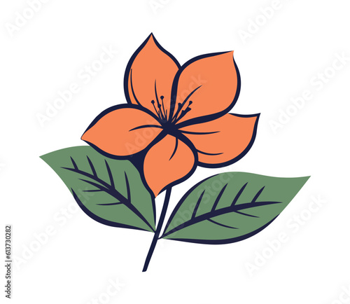 Ornate flower head symbolizes beauty in nature