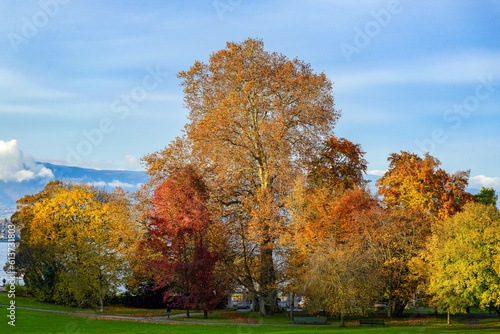 Le Parc de la Grange à Genève