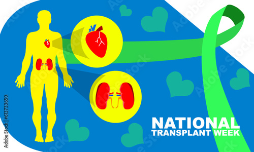 yellow silhouette of full body human with heart and kidney organs and green awareness ribbon commemorating National Transplant Week
