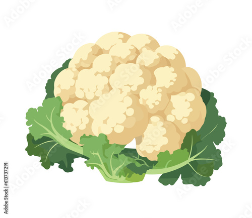 Healthy eating vegetable cauliflower