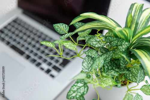 ノートパソコン　laptop