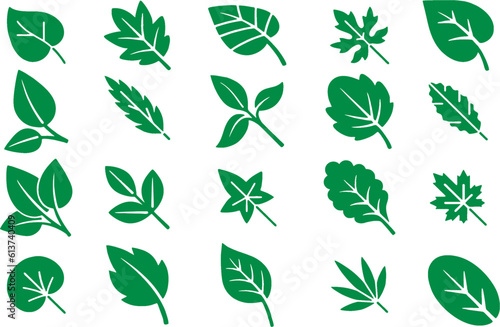 collection of silhouette maple leaves  herbs  flowers  branches  tropical leaf  palm. High resolution Floral design elements collection.Editable vector  ecology idea. eps 10.