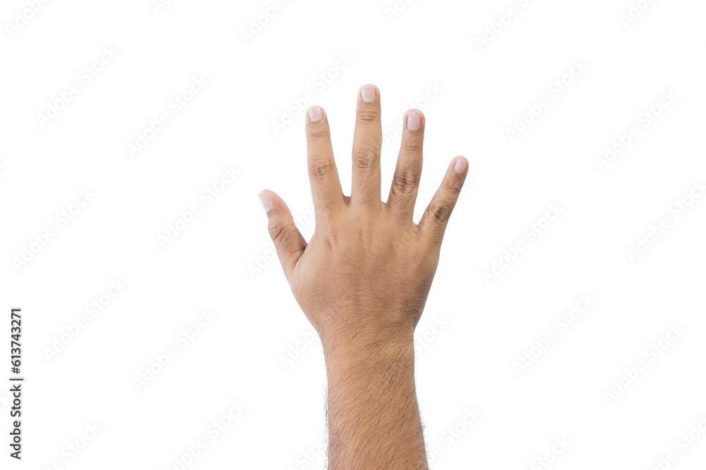 Close-up man's back of hand. Open outstretched hand, showing five fingers means number five, extended in greeting copy space isolated on white background. Space for text. Close-up man's back of hand. Open outstretched hand, showing five fingers means number five, extended in greeting copy space isolated on white background. Space for text.