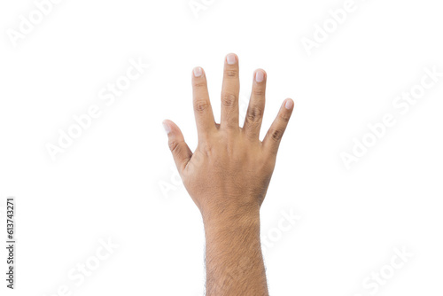 Close-up man's back of hand. Open outstretched hand, showing five fingers means number five, extended in greeting copy space isolated on white background. Space for text. © TripleP Studio