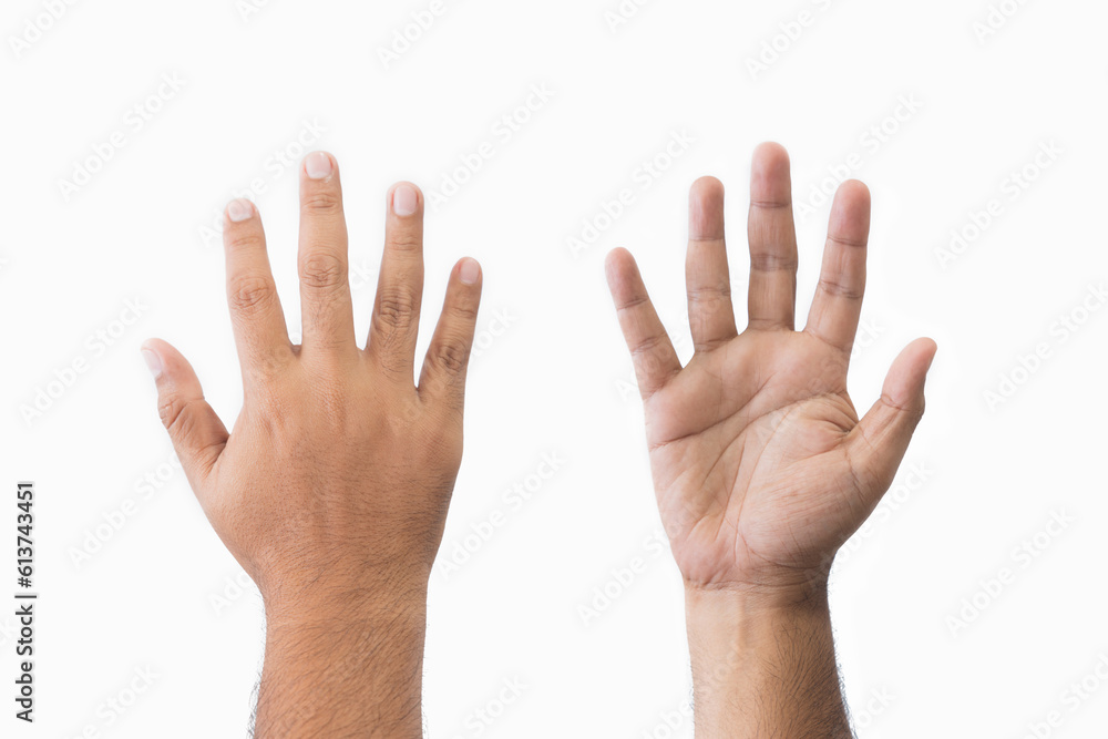 Close-up set man's palm and back of hand goodwill gesture. Open outstretched hand, showing five fingers, extended in greeting copy space isolated on white background. Space for text. Close-up set man's palm and back of hand goodwill gesture. Open outstretched hand, showing five fingers, extended in greeting copy space isolated on white background. Space for text.