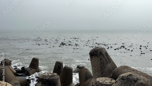 Misty sea conditions along the shoreline filled with dolosse or waves concrete breakers photo