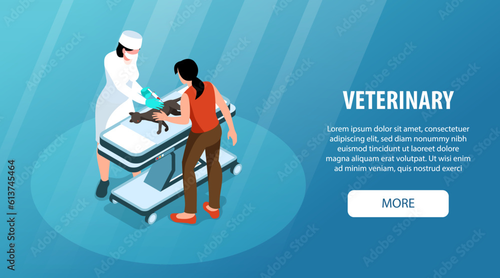 Isometric Veterinary Banner