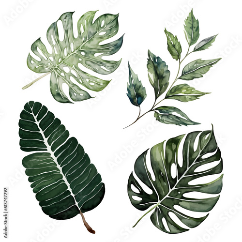 Watercolor tropical leaves set isolated on white. Green summer exotic palm leaf collection.