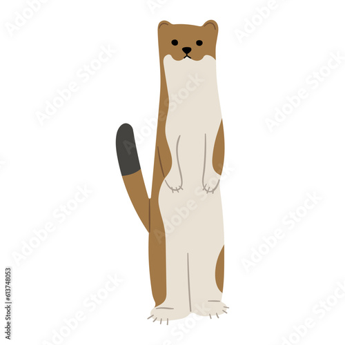 stoats,ermine and weasels cute 7 on a white background, vector illustration. 