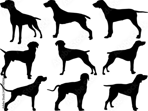 Set of Pointer Dog Silhouette