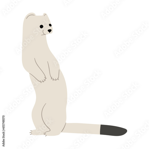 stoats,ermine and weasels cute 12 on a white background, vector illustration. 