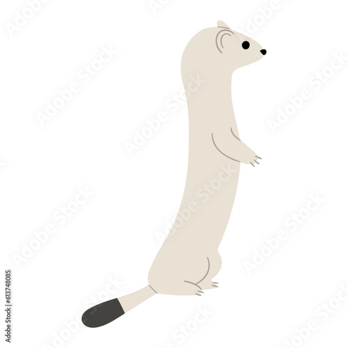 stoats,ermine and weasels cute 10 on a white background, vector illustration. 