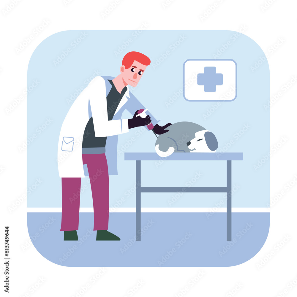 Cartoon doctor injects dog on couch. Veterinarian examining dog. Animals healthcare service. Veterinary clinic. Medical center for domestic animals treatment. Vector