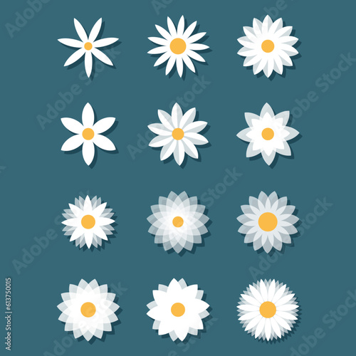 Collection de fleurs - Marguerites et autres motifs floraux - Éléments vectoriels éditables - Différentes formes et nombre de pétales
