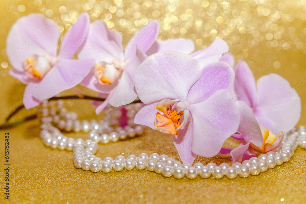 purple Orchid and pearl necklace on a shiny gold background
purple Orchid and pearl necklace on a shiny gold background