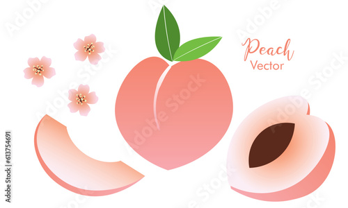 Bright vector set of colorful juicy peach isolated on white. Peach. Set. Set of colorful peach fruit, leaves, branches and flowers isolated on white background.