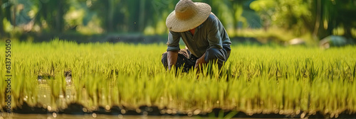 Rice in the field , Asian farmer working rice field ,Generative AI