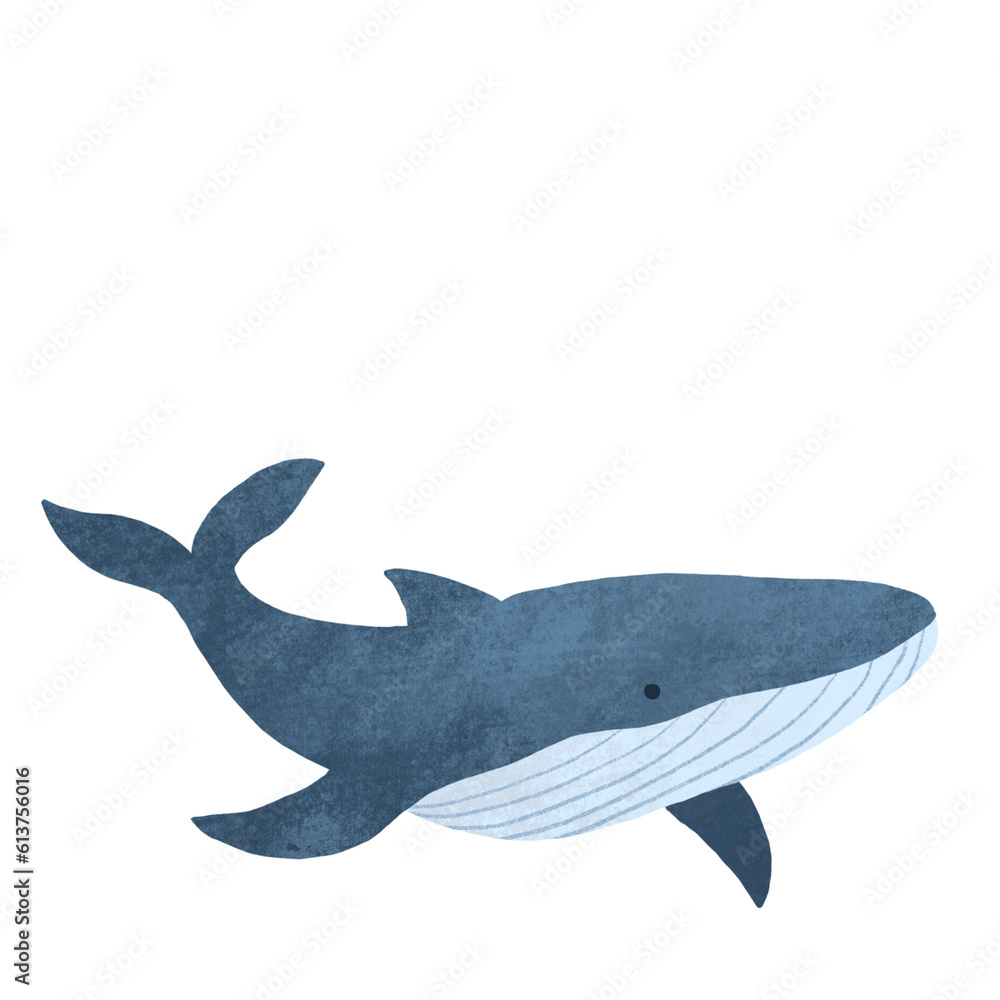 Fototapeta premium whale illustration